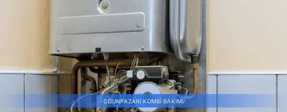 Odunpazarı İlçemi Kombi Bakımı