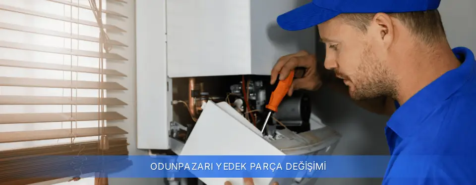 Odunpazarı İlçemi Kombi Yedek Parça Değişimi